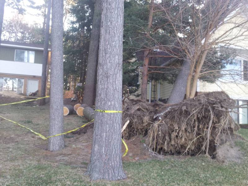 who pays for trees falling on house Anibal Group LLC Realty Net Worth fenton linden holly byron michigan florida