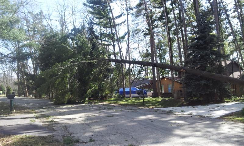 Anibal-Group-RealtyNetWorth-Charities