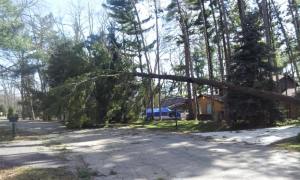 Anibal-Group-RealtyNetWorth-Charities