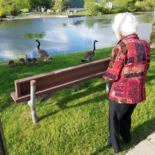 real estate agent broker screening referral advocacy paul anibal seniors and veterans specialist__michigan_to_florida_california-to-maine